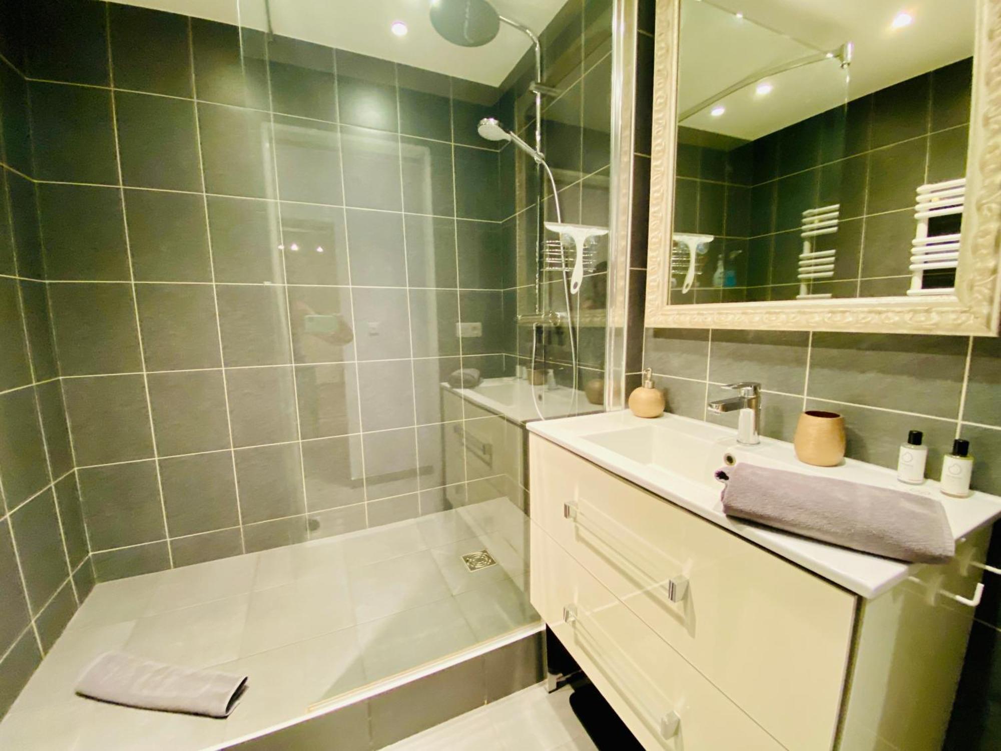 Esprit Nomad - Appartement Rue Pietonne Proche Lac Анси Экстерьер фото